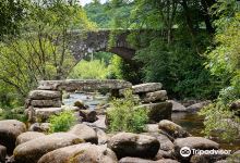 Dartmeet River Junction景点图片
