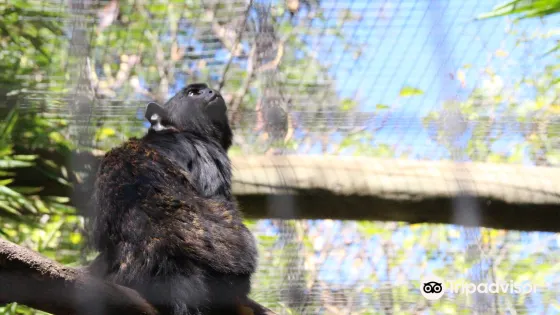 拉各斯動物園