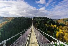 Geierlay Suspension Bridge景点图片