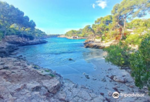 Cala Mitjana景点图片