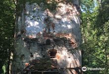 Burgruine Altwartenburg景点图片