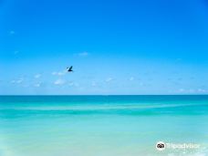 Tigertail Beach-马可岛