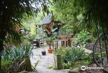 Henstead Exotic Garden景点图片