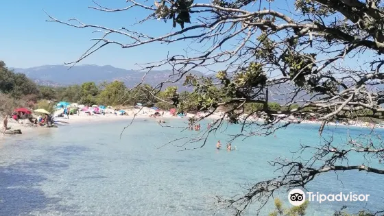 Plage de Saint-Cyprien
