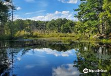 Mass Audubon's Broadmoor Wildlife Sanctuary景点图片