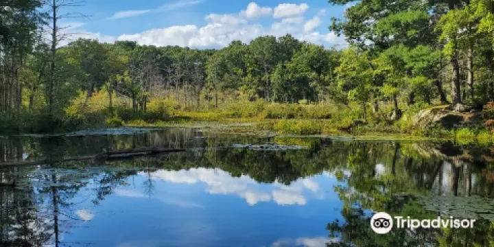 Mass Audubon's Broadmoor Wildlife Sanctuary