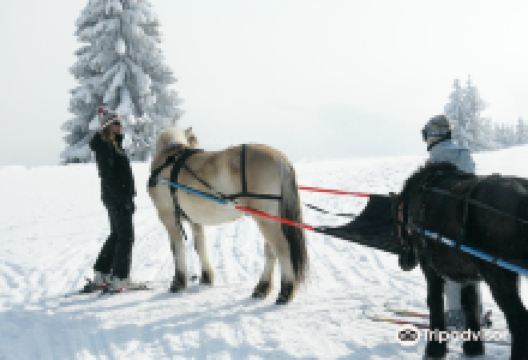Ranch du Lac景点图片
