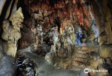Divaca Cave景点图片