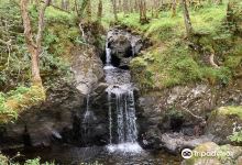 Galloway Forest Park景点图片