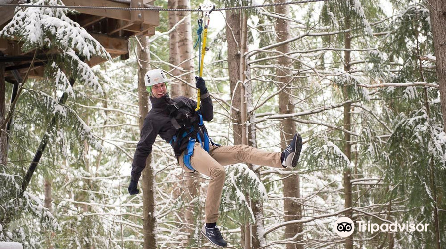 Ziptrek Ecotours生態高空滑索