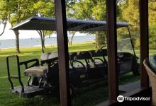 Erie Island Carts购物图片