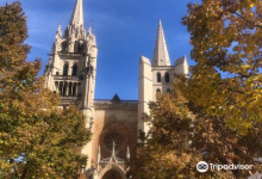 Mende Cathedral景点图片