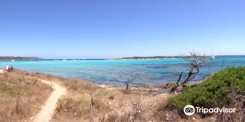 Plage de Piantarella