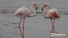 长滩休闲公园-Langstrand