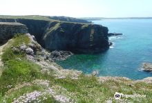 Padstow and Stepper Point Walk景点图片