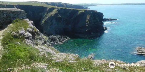Padstow and Stepper Point Walk