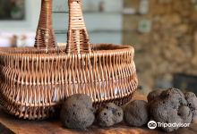 La Truffe en Périgord景点图片