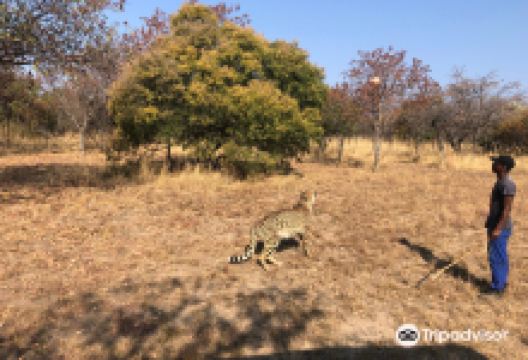 Feracare Wildlife Centre景点图片