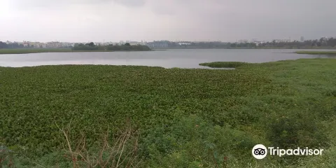Doddanekundi Lake