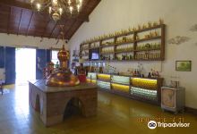 Casa da Cachaça景点图片