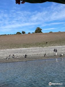 Isla Martillo-乌斯怀亚