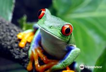 Rainforest Adventures Zoo景点图片