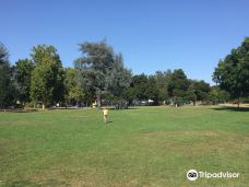 林科纳达公园-帕罗奥图