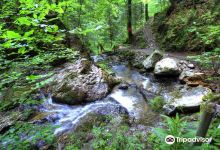 Todtmoos Waterfall景点图片