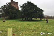 Warehorne War Memorial景点图片