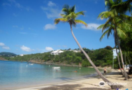 Secret Harbour Beach景点图片