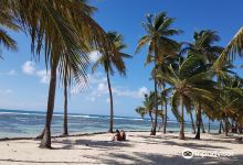 Plage de Bois Jolan景点图片