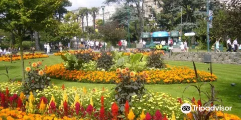 伯恩茅斯下花園