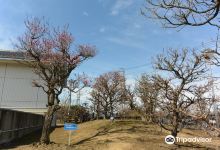 Anpachihyakubaien景点图片