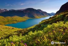 Jotunheimen National Park景点图片