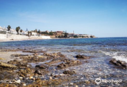 Playa Naturista de Playamarina景点图片