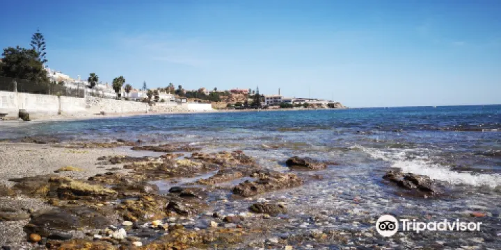 Playa Naturista de Playamarina