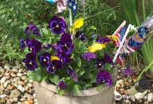 Hartlines Garden Center & Harvest Stand景点图片