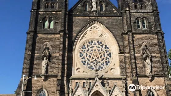 The National Shrine Of St. Dymphna