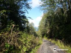 凯恩岛-鲁珀特王子港