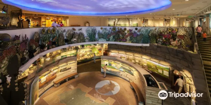 Flint Hills Discovery Center