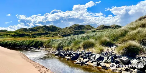 Balmedie Beach