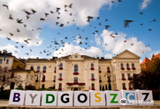 City Hall景点图片