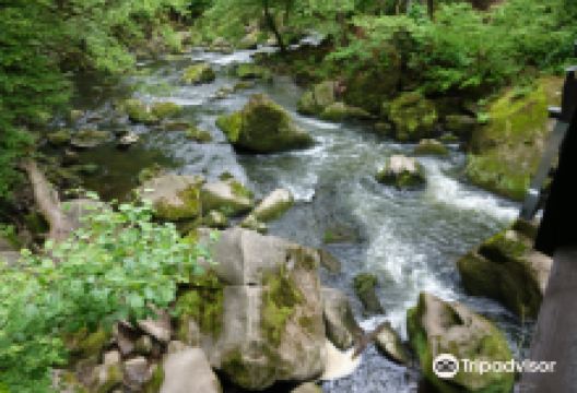 Irreler Wasserfalle景点图片