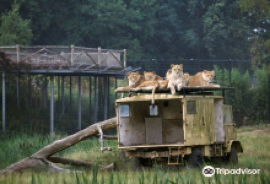 贝克塞·贝尔亨野生动物园景点图片