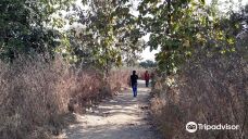 Ambazari Biodiversity Park-那格浦尔