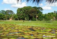 Parque Nacional do Pantanal Matogrossense景点图片