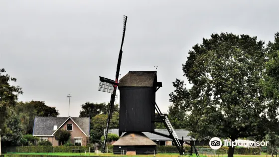 Doesburgermolen