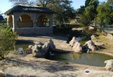 Livingstone Reptile Park景点图片
