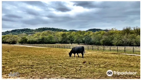 Gentry Farm