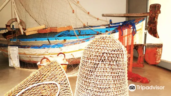 Museo del Porto